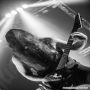 20140803_23-34-25_IMG_1960